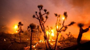 ‘Calmer’ winds could help contain one of LA’s largest wildfires