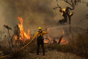 : Jesse Vasquez, of the San Bernardino County Fire Department, hoses down hot spots from the Bobcat Fire on Saturday, Sept. 19, 2020, in Valyermo, Calif.  Photo by Marcio Jose Sanchez - AP Photo 