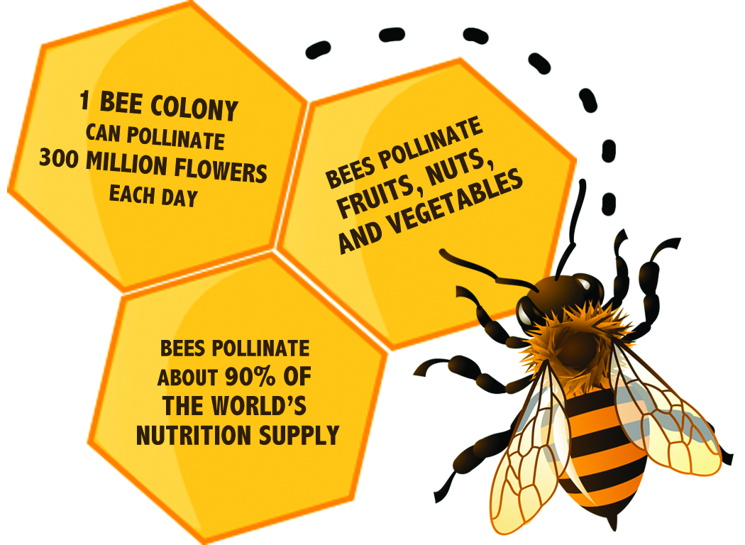 How Do Killer Bees Affect The Environment