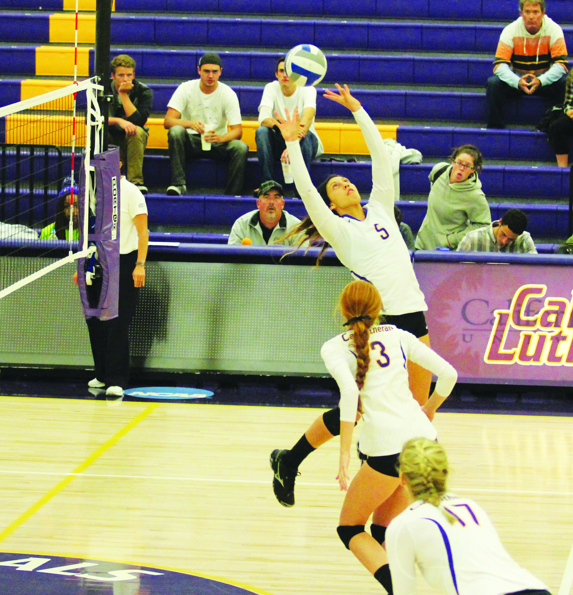 The dynasty continues The Echo