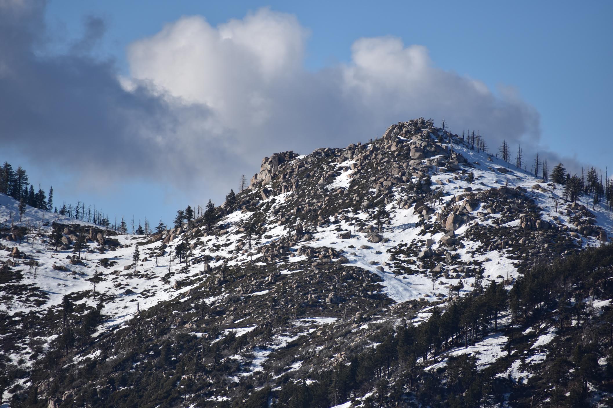Big Bear Mountain Trip S mores Snow And Sledding The Echo