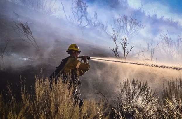 2020 wildfire season